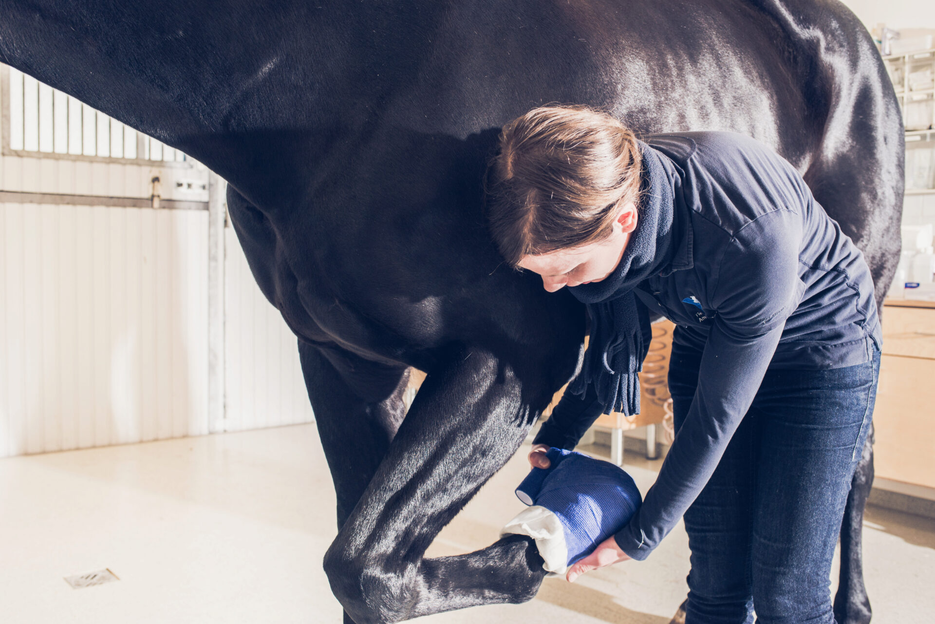 Teaserbild Tierarztpraxis für Pferde und Kleintiere Am Spitalacker