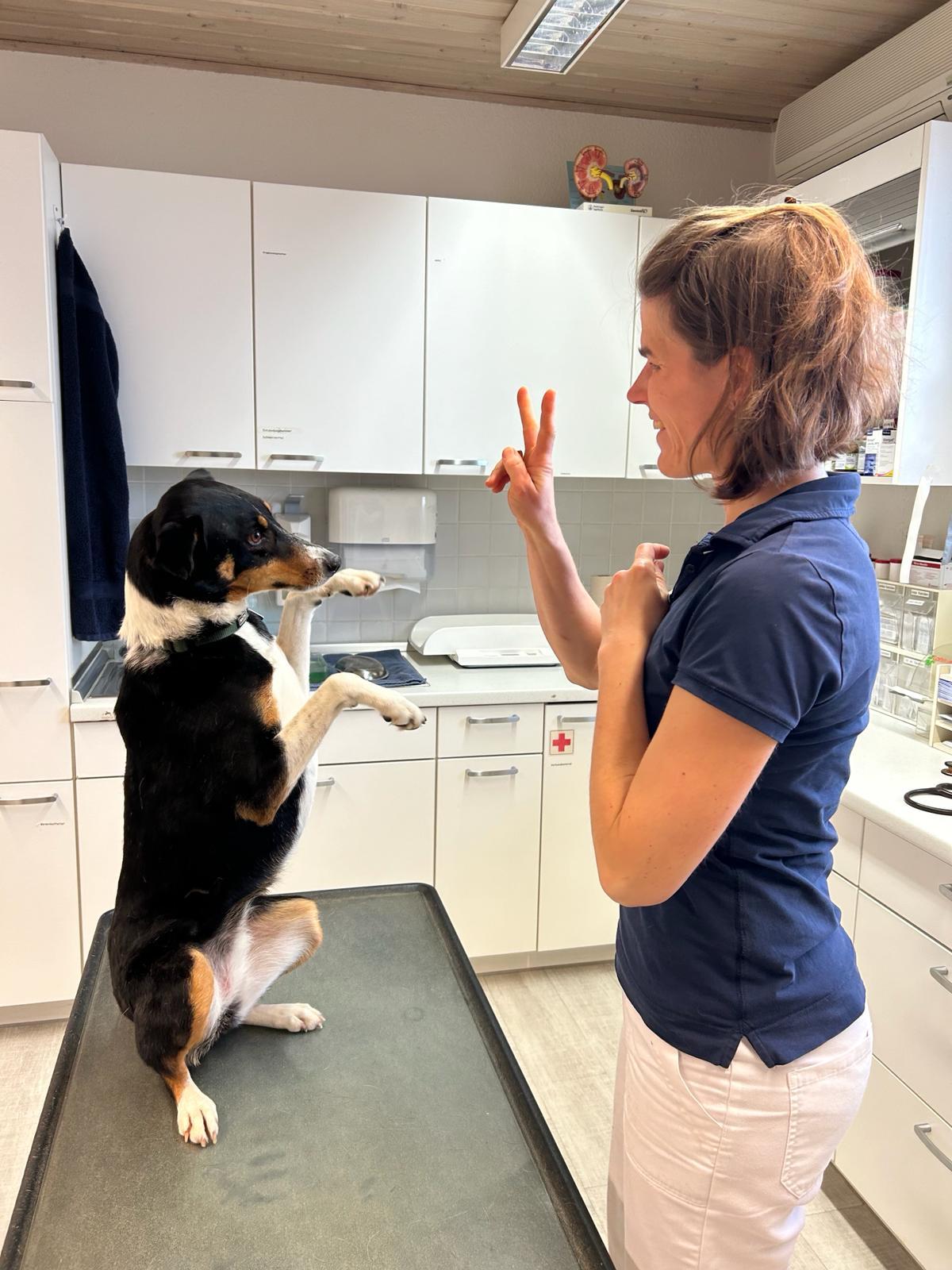 Tierarztpraxis für Pferde und Kleintiere Am Spitalacker - unsere Vision